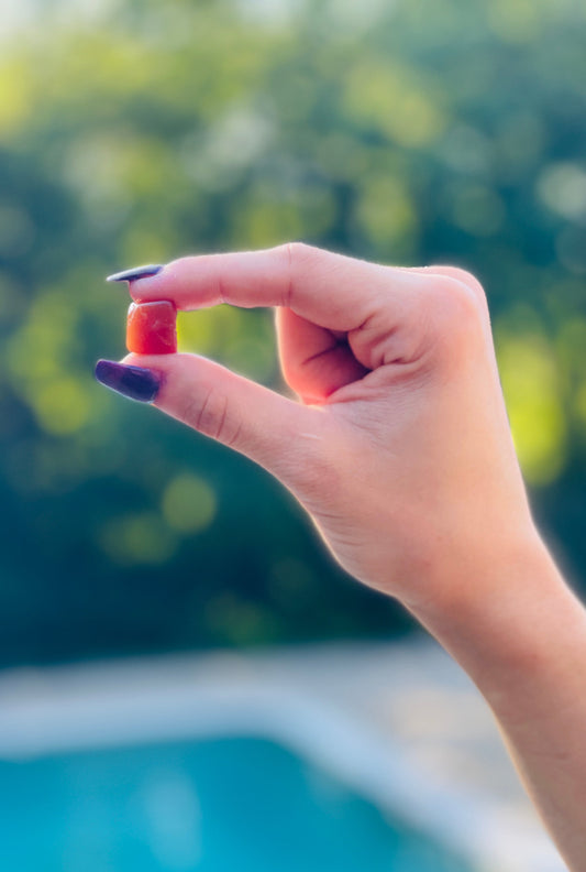 Image of hand model holding a Lions Mane Focus Gummy.