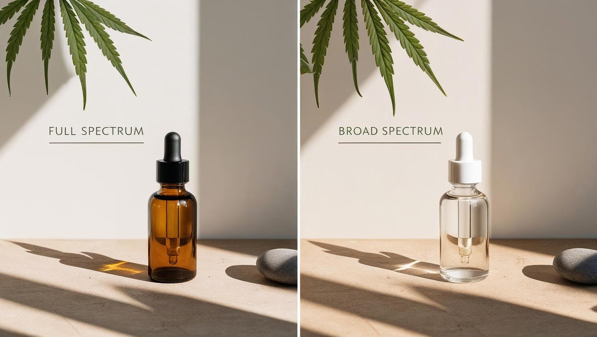 Side by side images of tincture bottle. One amber, the other clear. One full spectrum & the other broad spectrum.