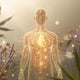 The Endocannabinoid System: Your Body’s Natural Balance Network