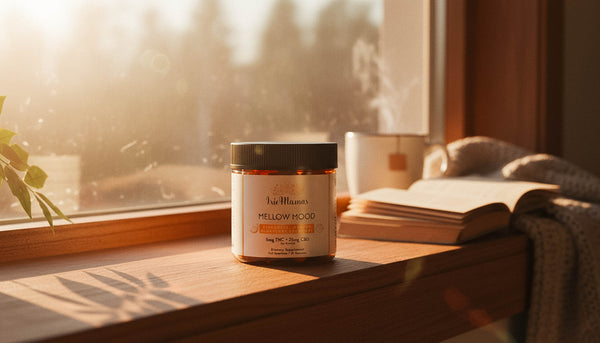 Irie Mamas Mellow Mood pineapple orange CBD gummies jar on wooden windowsill with warm sunlight, open book, and coffee mug in background. Natural stress relief and relaxation supplement for peaceful reading moments at home.