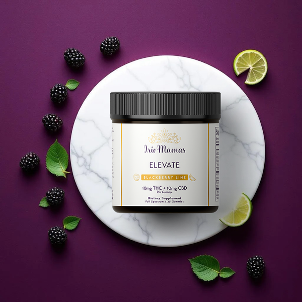 Elevate | Blackberry Lime  Gummy, 10mg THC + 10mg Premium CBD